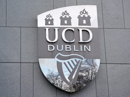 UCD produces the fifth highest number of founders in Europe