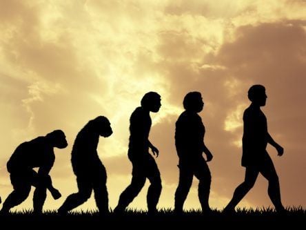 Humans have continued to evolve new genes, study suggests