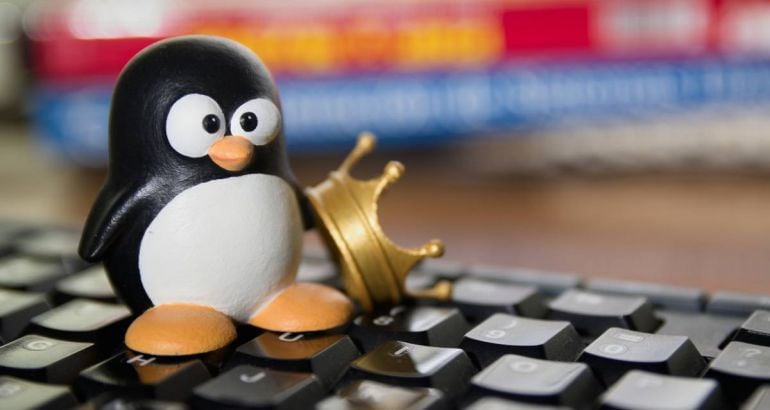A penguin figure sitting on a computer keyboard with a gold crown beside it. The penguin in this case represents Linux.
