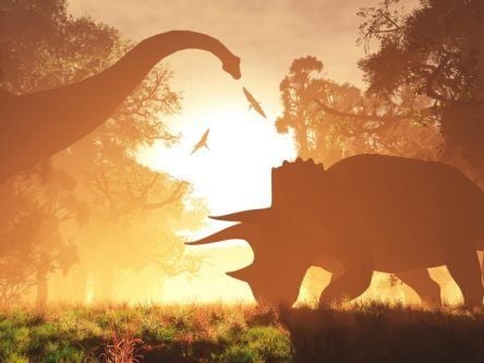 Did our mammal ancestors live alongside dinosaurs?
