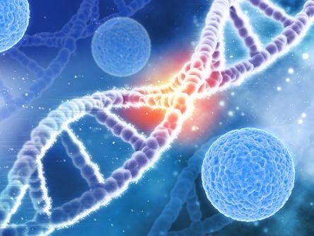 Cancer cell drivers discovered in ‘dark’ DNA