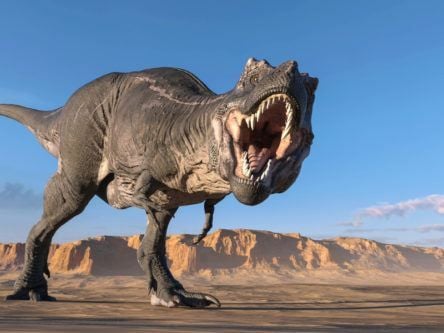 Scientists say T-rex had complex sensing nerves in its jaw