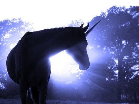 Are unicorns soon to become extinct? Many think so